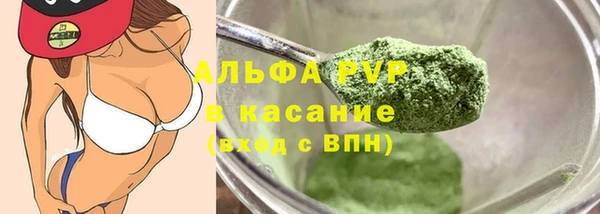 эйфоретик Богданович
