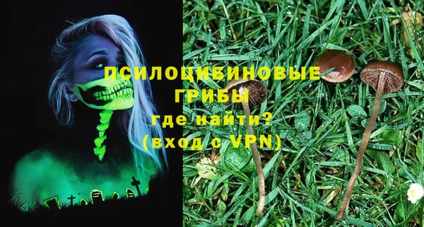 прущий лед Белокуриха
