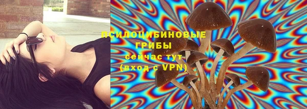 прущий лед Белокуриха