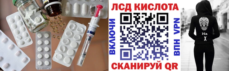дарнет шоп  Болотное  Лсд 25 экстази кислота 